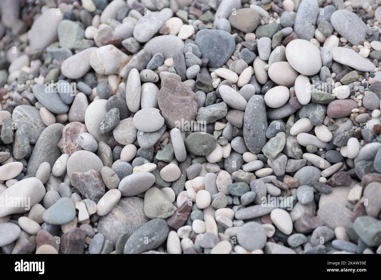 Texture of pebbles from the sea shore bank beach. Many pebbles from sea shore background Stock Photo