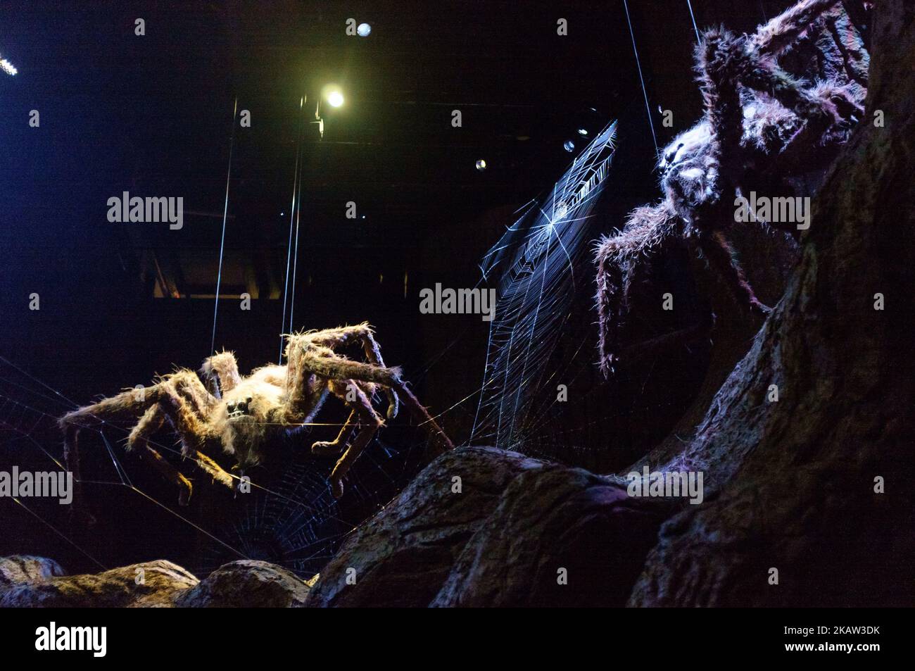 Giant spiders in the forbidden forest at the Warner Bros' Harry Potter