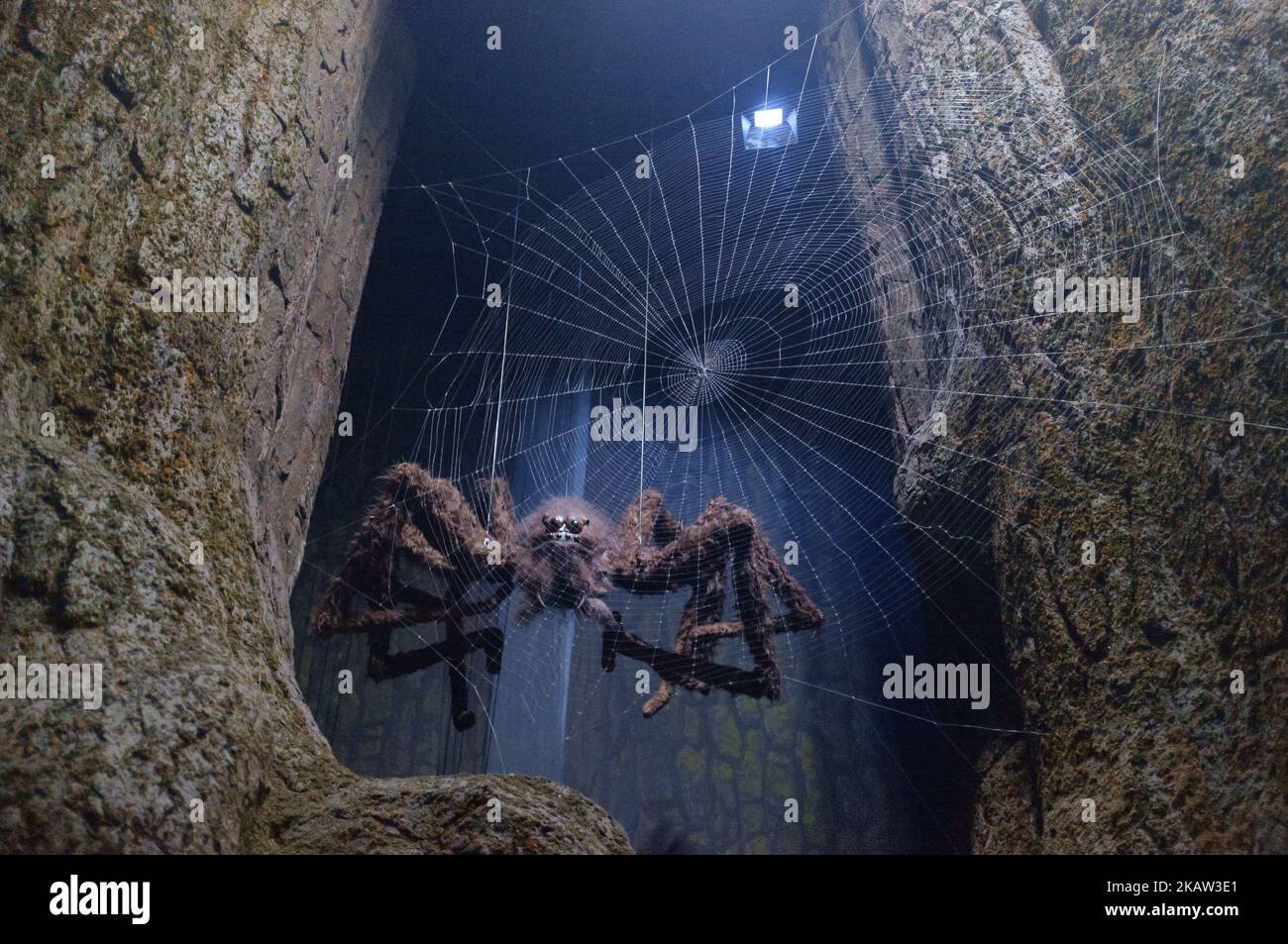 Giant spiders in the forbidden forest at the Warner Bros' Harry Potter