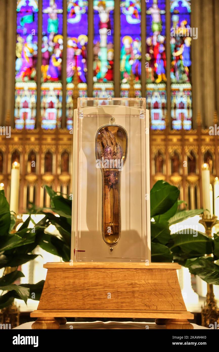 The forearm of Saint Francis Xavier, a popular saint revered by