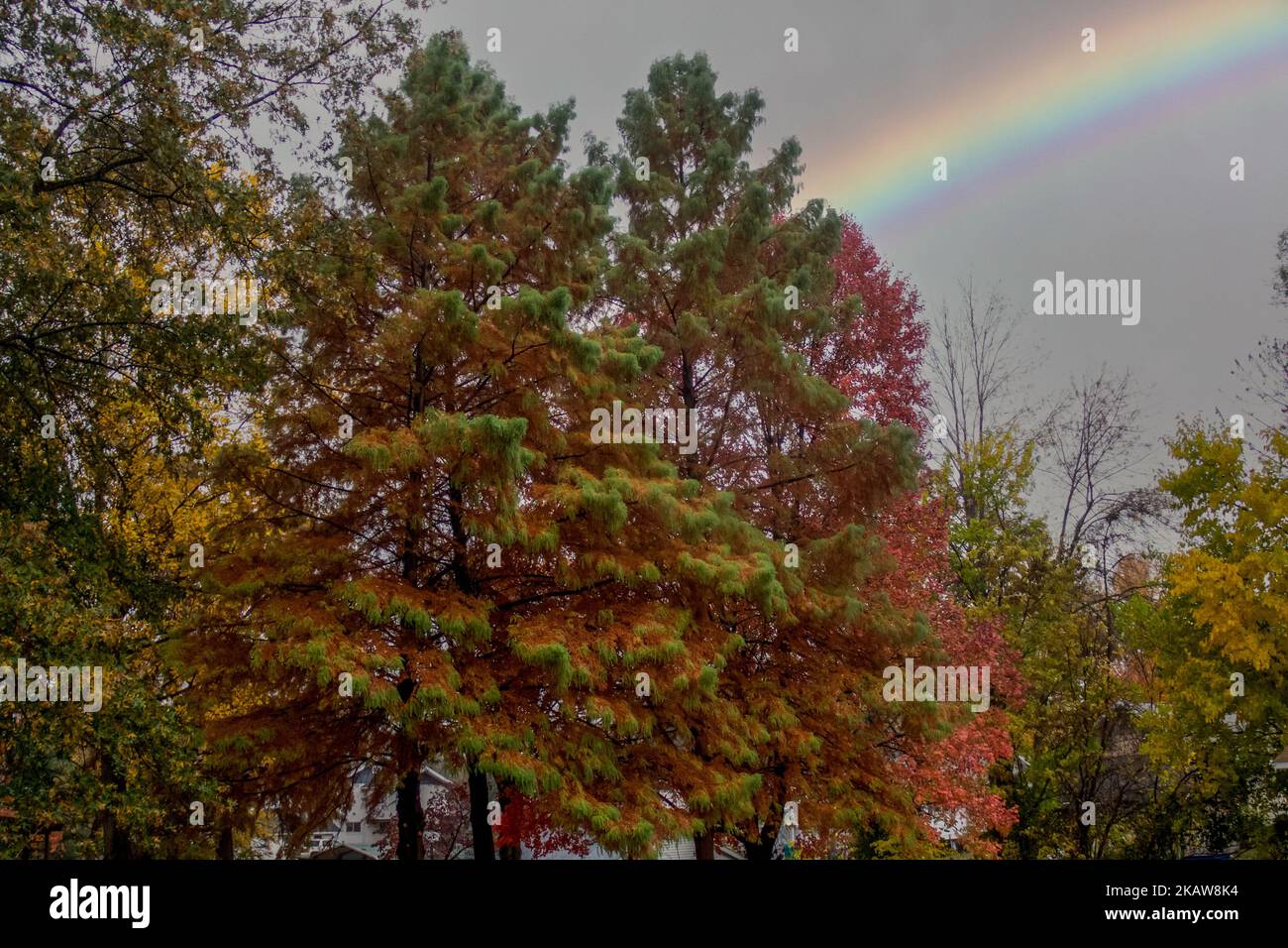 rainbow in the fall Stock Photo