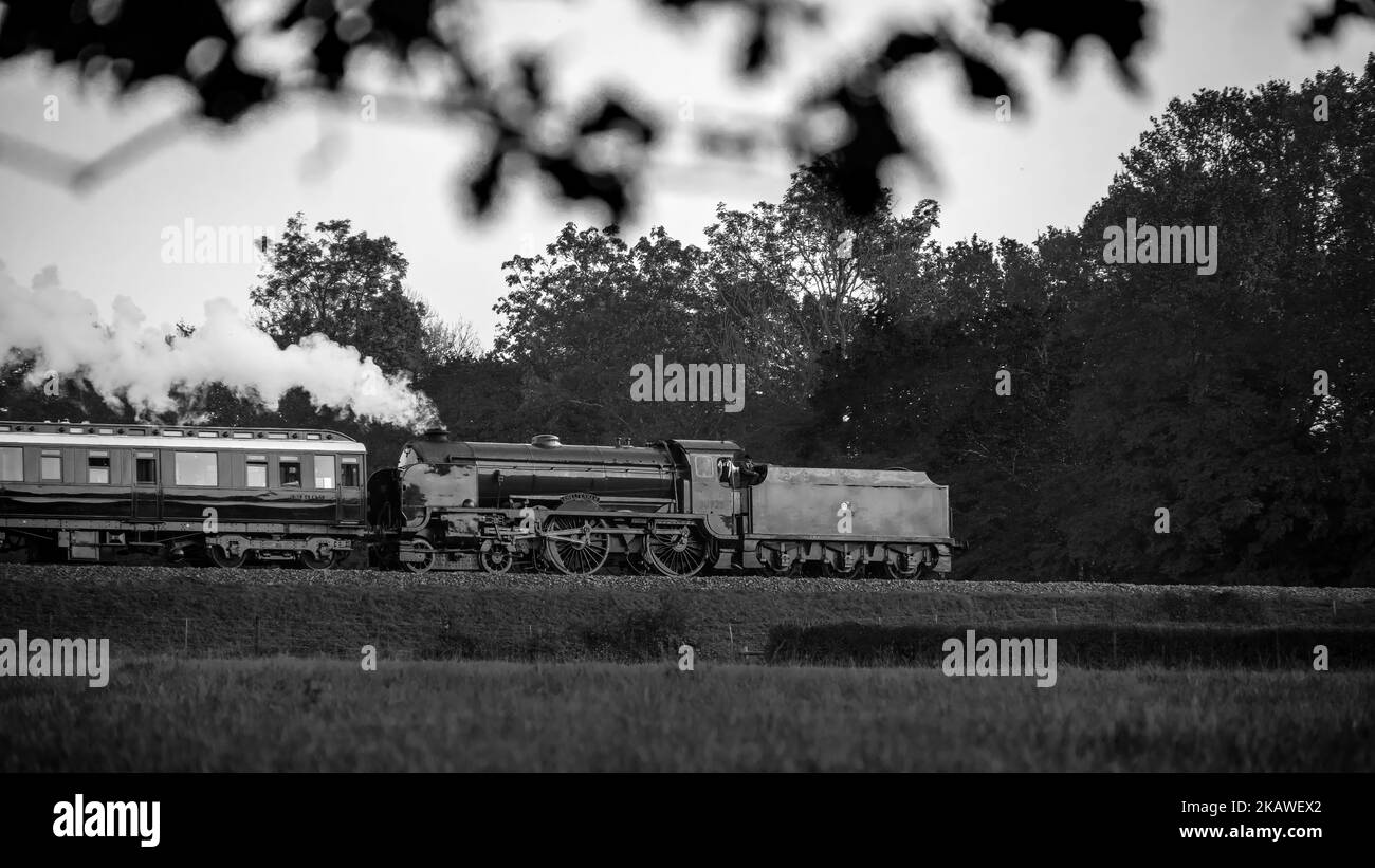 The Cheltenham Railway at the field Stock Photo
