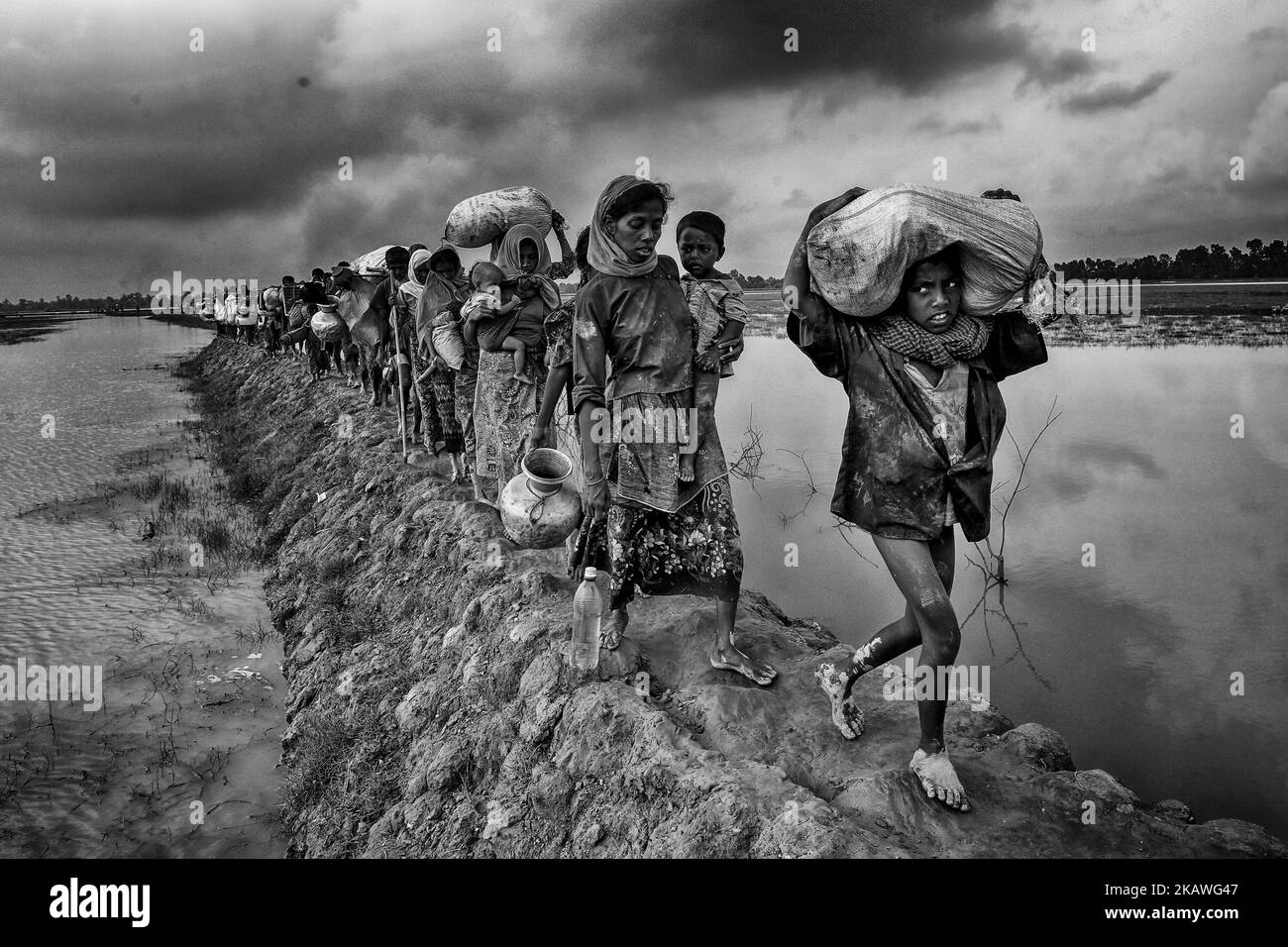 Rohingya people walk through rice field after crossing the border into ...