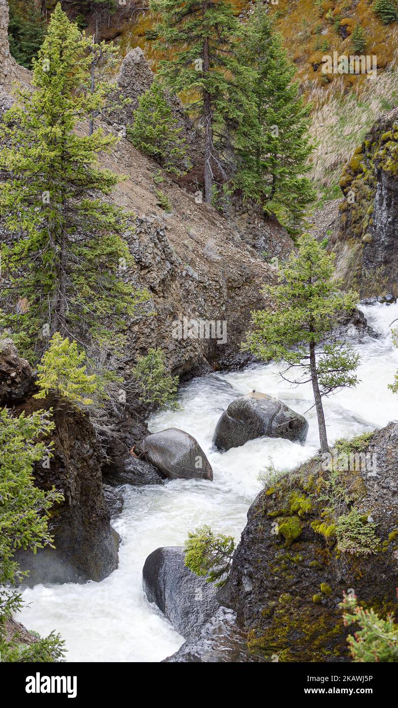 A vertical shot of a river flowing through green trees on a slope of a ...
