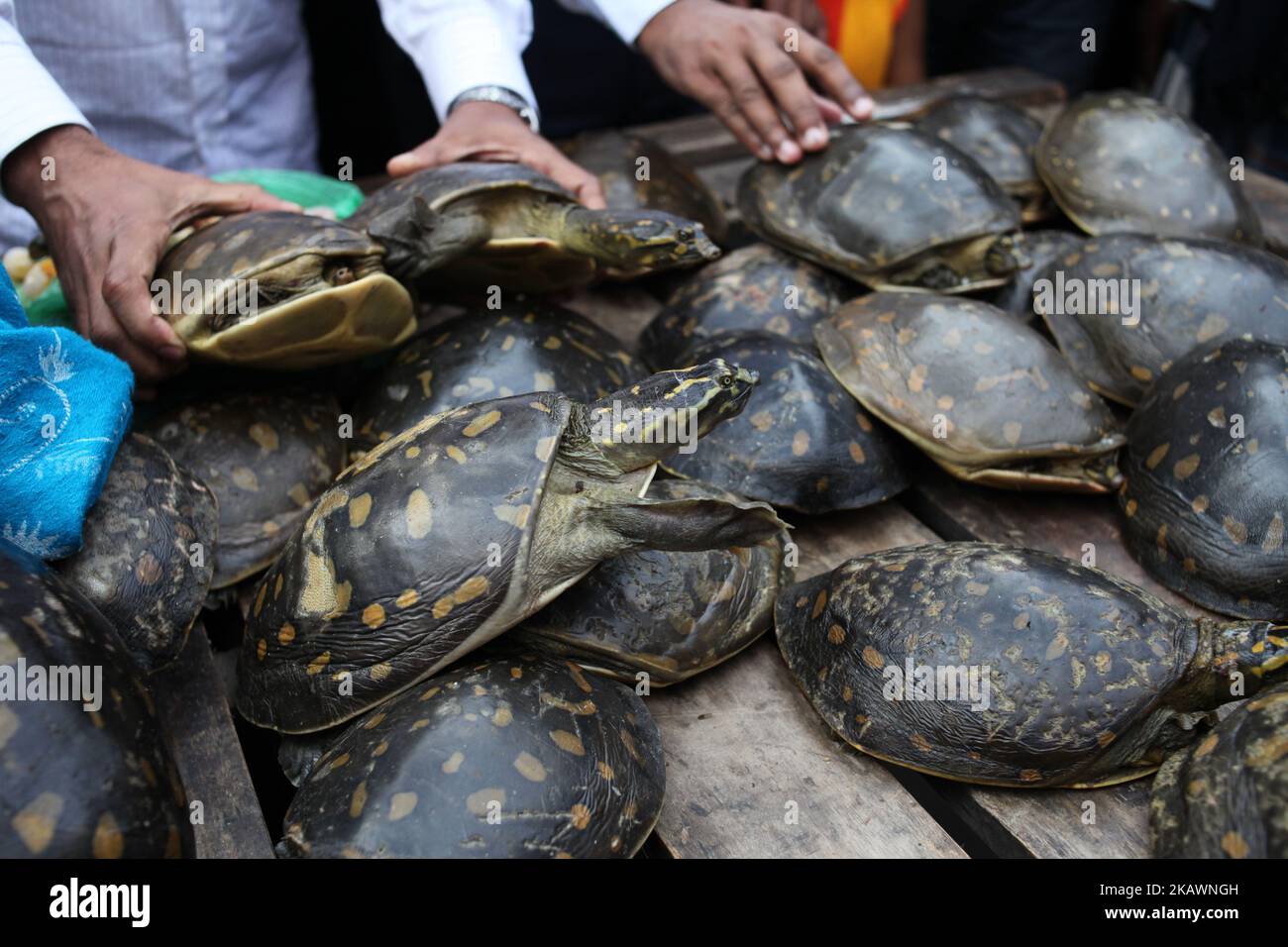 Wildlife crime control unit of forest department and the rapid action