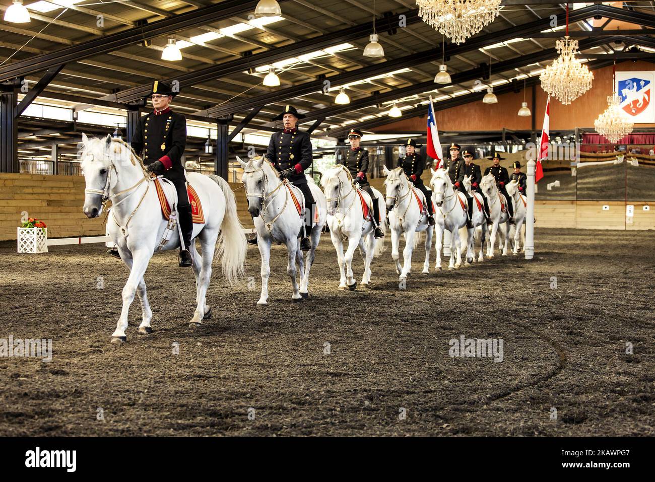 Purranque, Chile. 24 February 2018. Carriages pulled by the majestic Lipizzaner horses. The famous Lipizzaner horses participated in an equestrian gala that was held at Haras Tronador located in the Purranque sector, Los Lagos region, Chile. It is a unique cultural event in Latin America where you can appreciate the Equestrian Art of the Lipizzana classic school as it has been practiced for more than 500 years and as an extension of the tradition of the Spanish School of Vienna in Purranque, Chile. (Photo by Fernando Lavoz/NurPhoto) Stock Photo