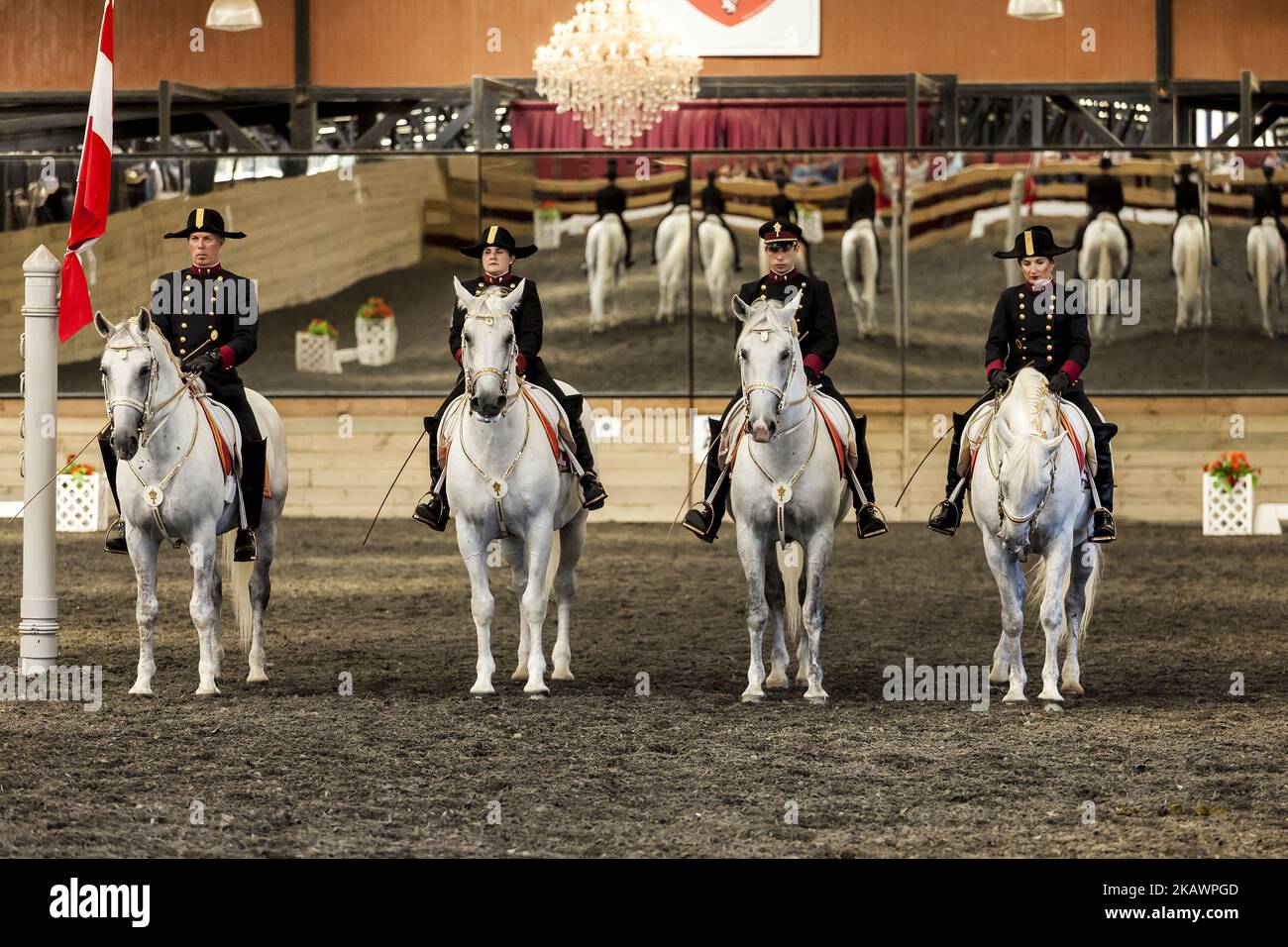 Purranque, Chile. 24 February 2018. The famous Lipizzaner horses participated in an equestrian gala that was held at Haras Tronador located in the Purranque sector, Los Lagos region, Chile. It is a unique cultural event in Latin America where you can appreciate the Equestrian Art of the Lipizzana classic school as it has been practiced for more than 500 years and as an extension of the tradition of the Spanish School of Vienna in Purranque, Chile. (Photo by Fernando Lavoz/NurPhoto) Stock Photo