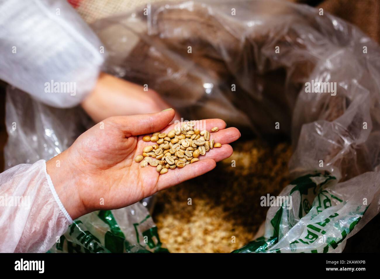Hand with green raw unroasted coffee beans Stock Photo - Alamy