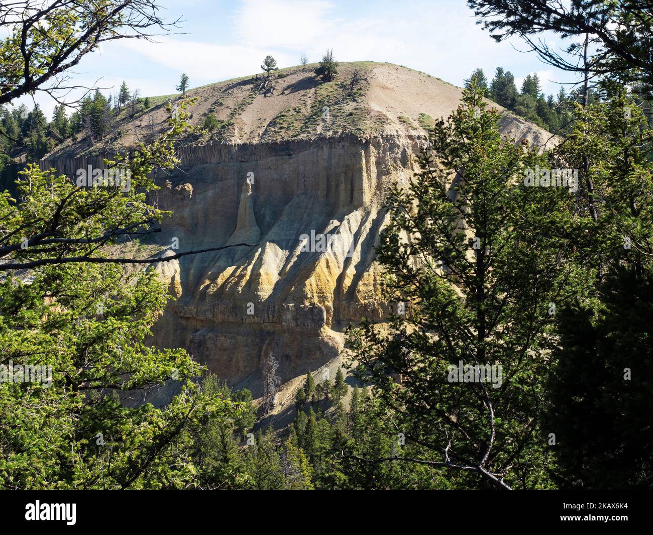 Rounded hill and eroded cliff close to Tower Falls viewed through coniferous forest, Yellowstone National Park, Wyoming, USA, June 2019 Stock Photo