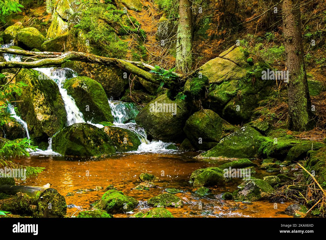 Small beautiful waterfall river stream in forest park and nature at