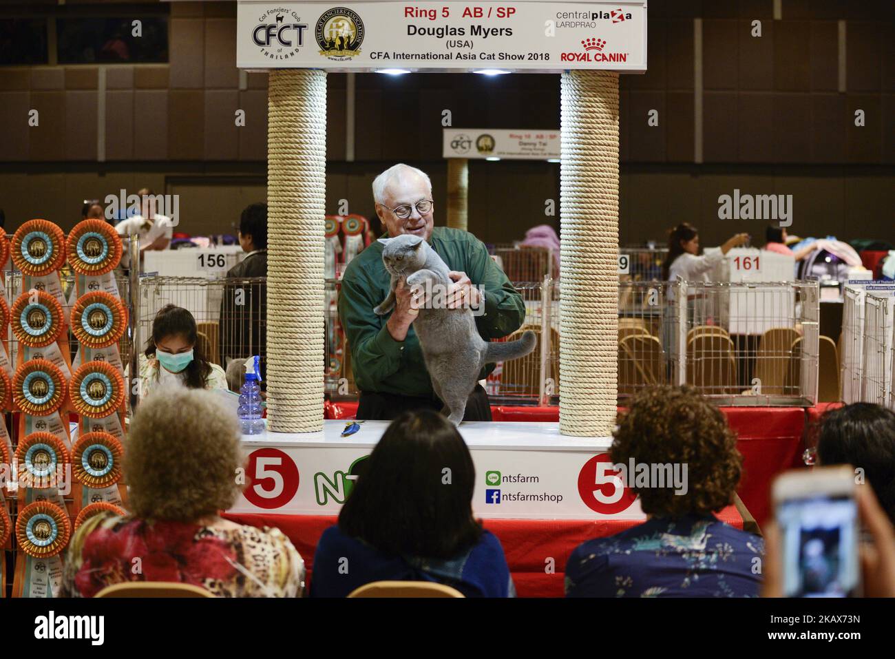 A judge of the Cat Fanciers' Association, checks the features of a cat during the CFA International Asia Cat Show 2018 in Bangkok, Thailand, 17 March 2018. (Photo by Anusak Laowilas/NurPhoto) Stock Photo