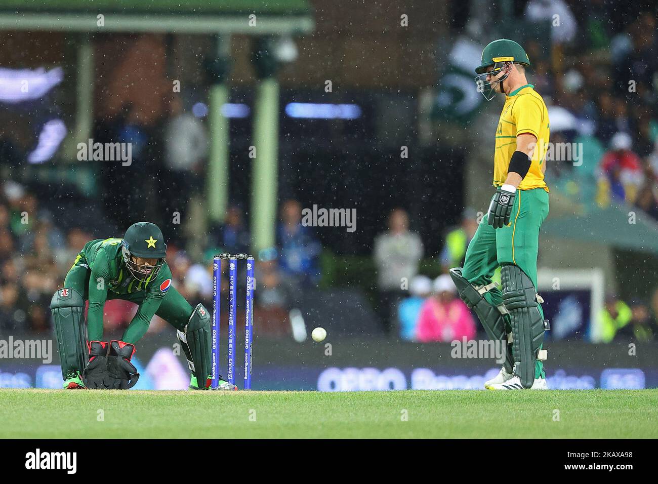 SCG, NSW, Australia 3rd November 2022; T20 World Cup Cricket, Pakistan