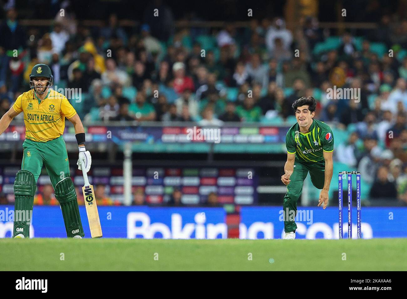 SCG, NSW, Australia 3rd November 2022; T20 World Cup Cricket, Pakistan