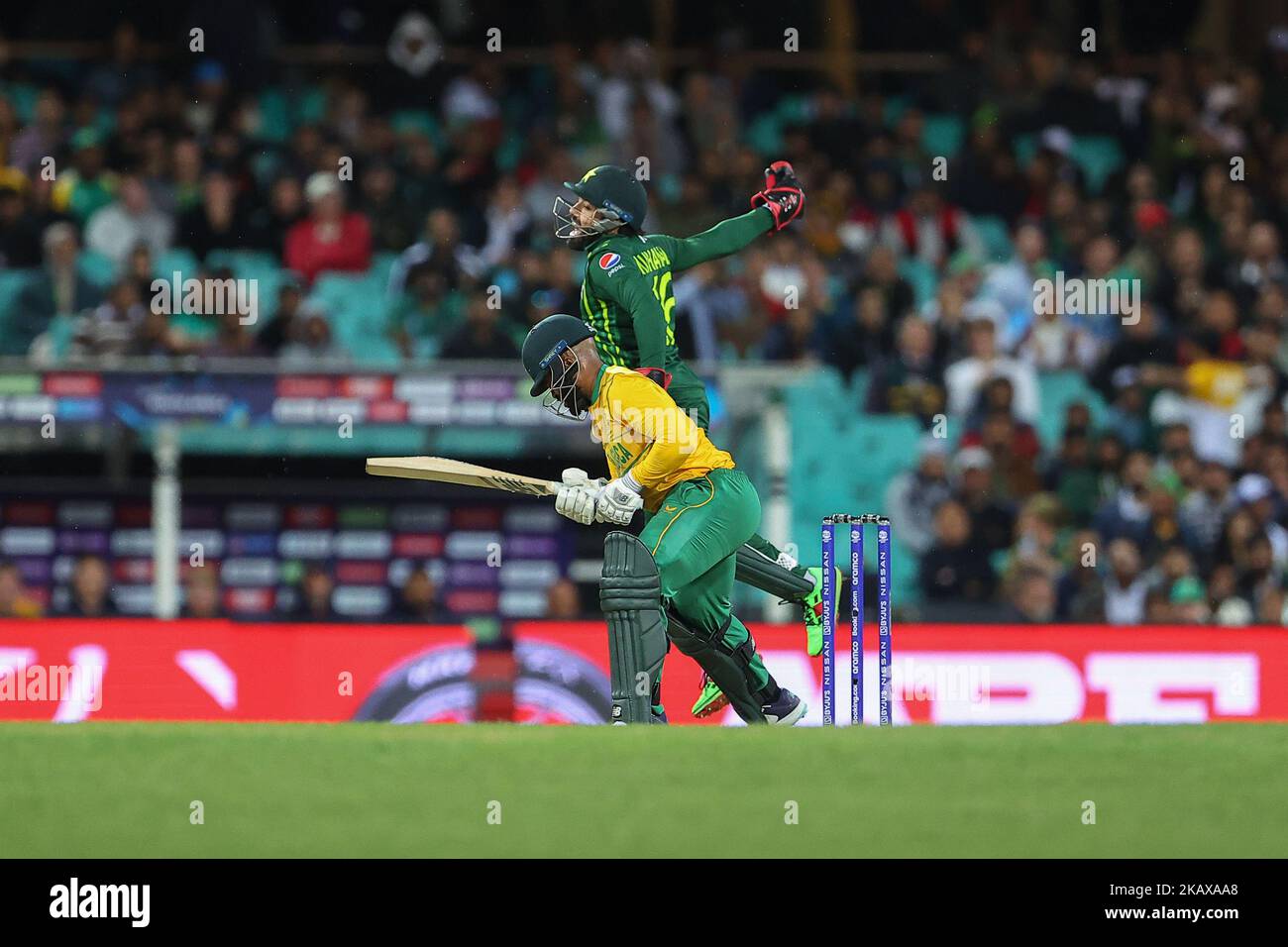Pakistan Versus South Africa 2025 Schedule Jerry Louella