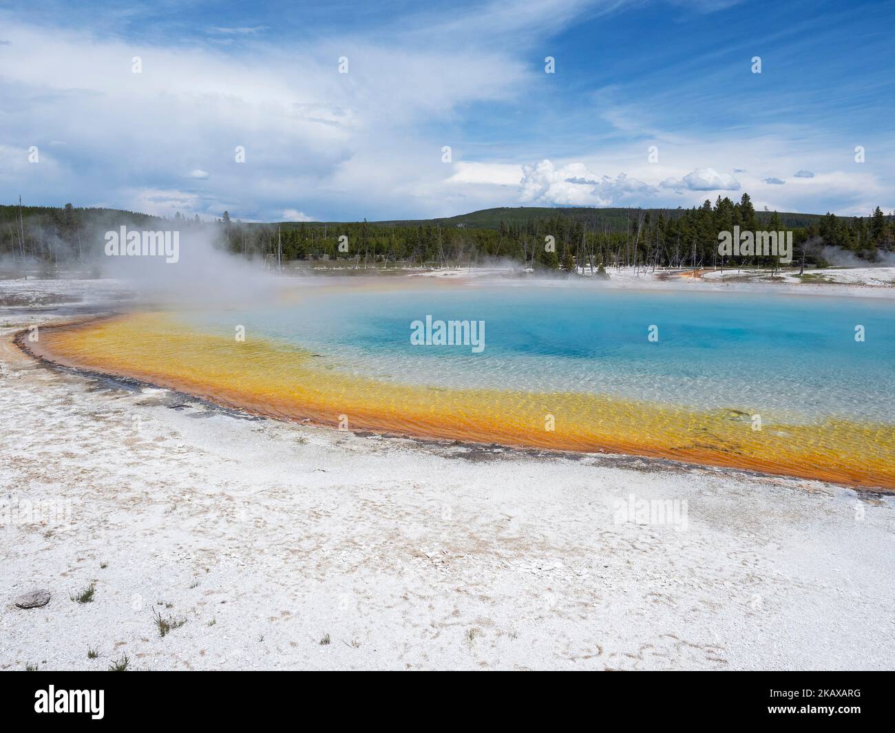 Steam rising from Rainbow Pool, Black Sand Basin, Yellowstone National Park, Wyoming, USA, June 2019 Stock Photo