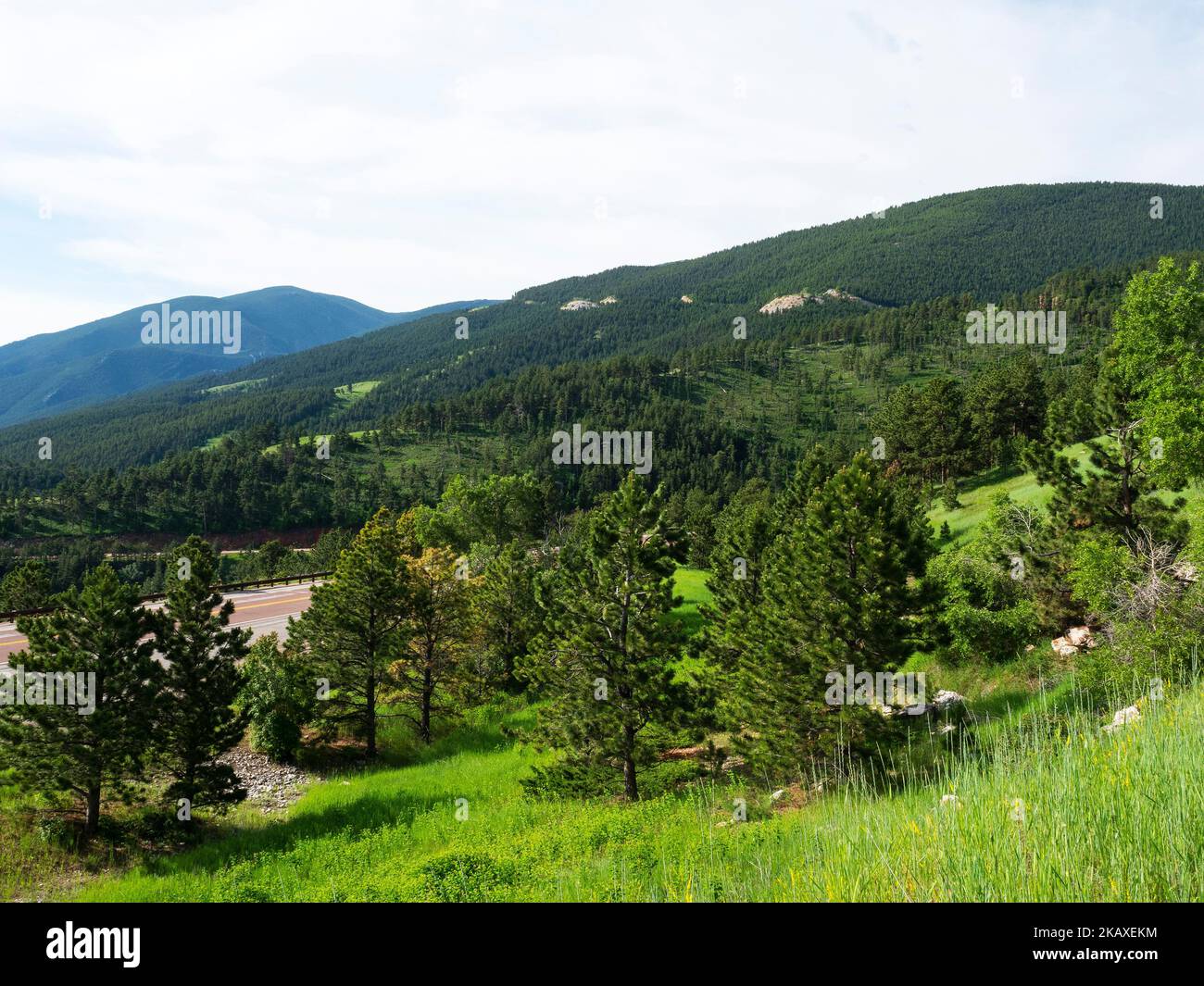 Bighorn National Forest and Scenic Byway, Highway 14, Wyoming, USA