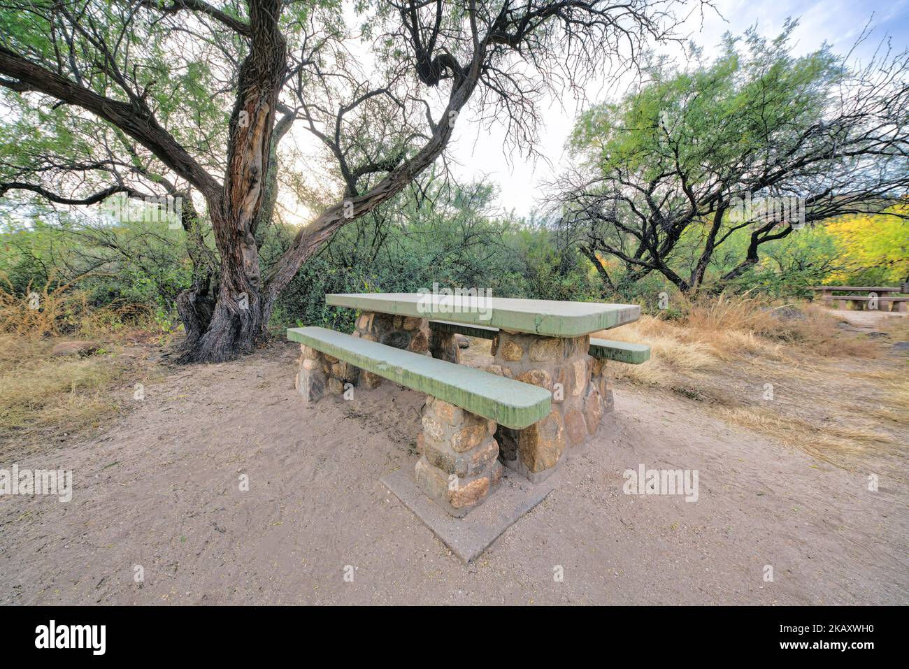 Sabino Canyon State Park campground with concrete picnic table in