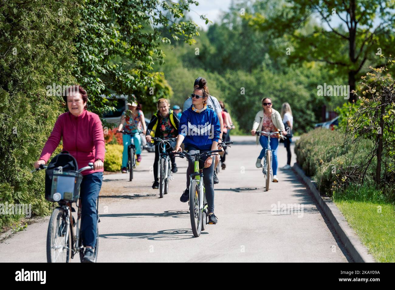 The view of people riding bicycles through the trees on a sunny day in ...