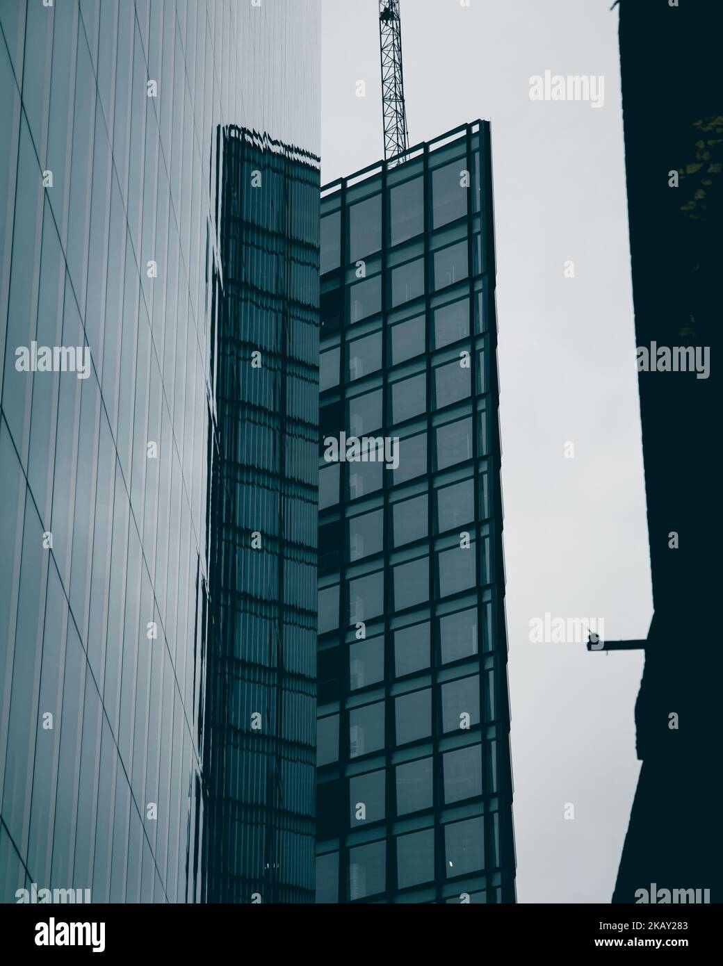 The vertical view of urban city modern buildings before the bright ...
