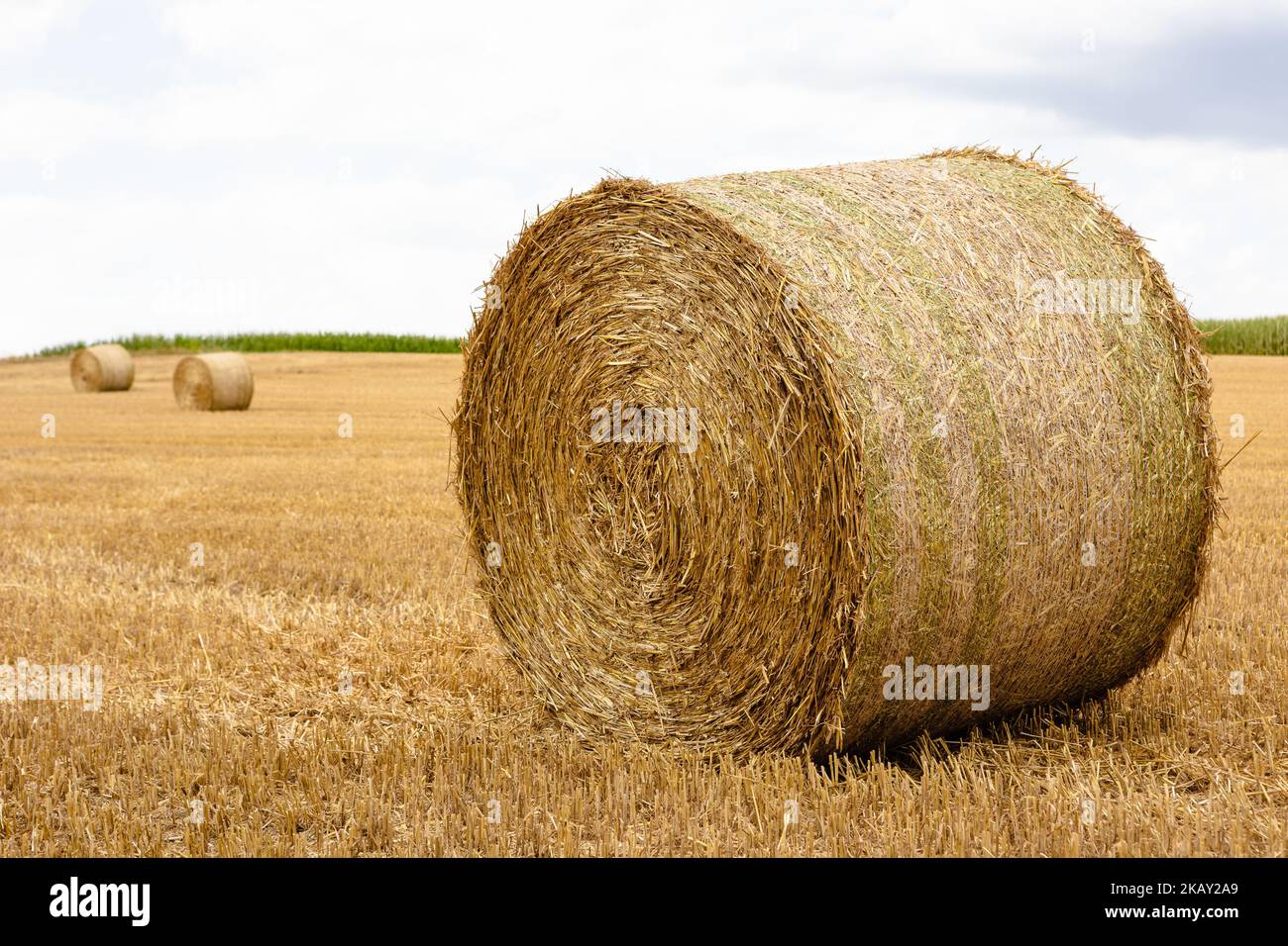 The view of a straw bale in a dry grass field under the cloudy sky ...