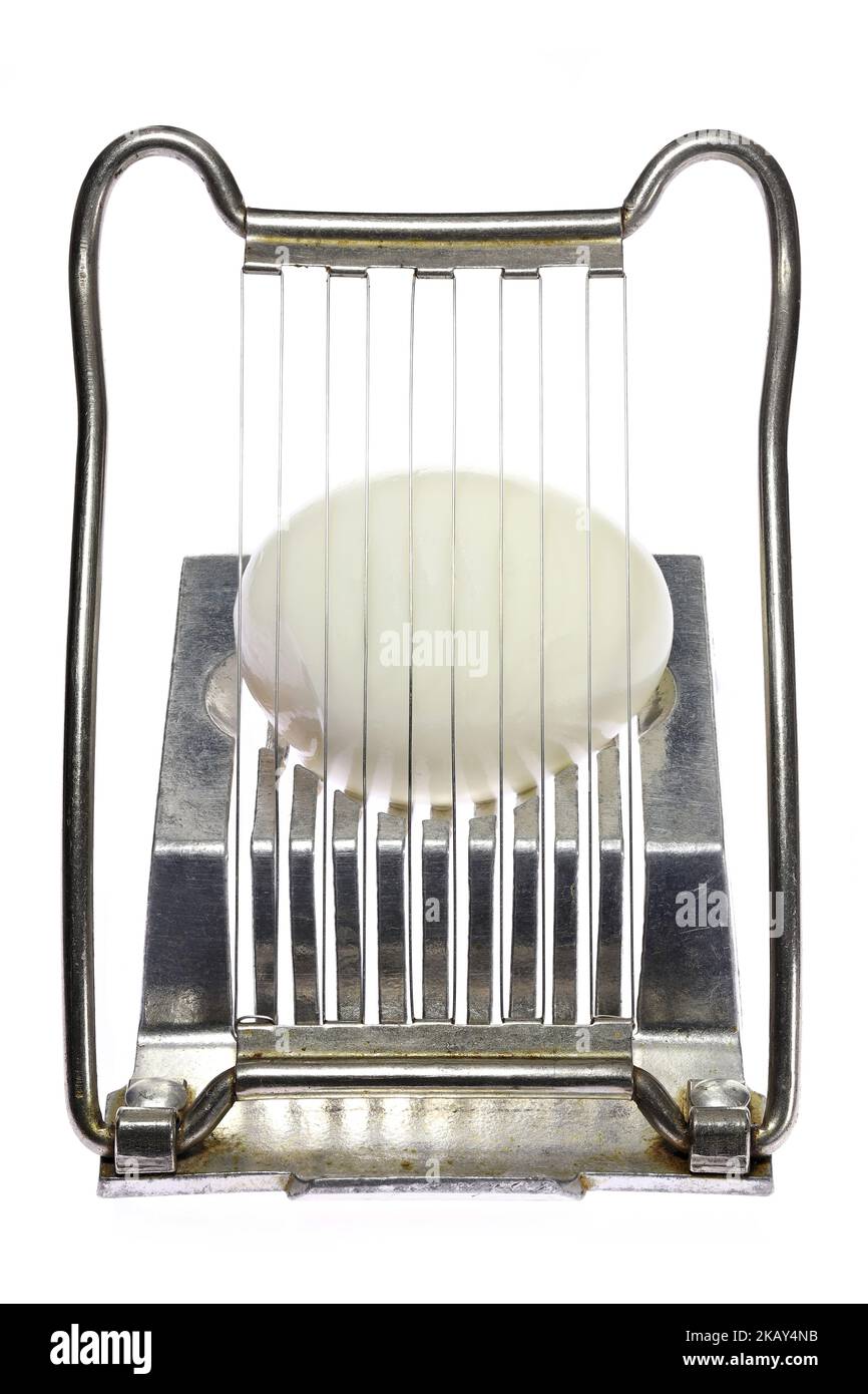 vintage aluminium egg slicer with hardboiled chicken egg isolated on