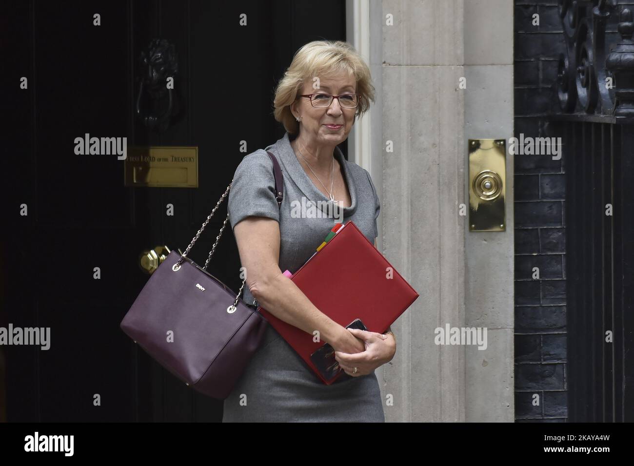 Leader of the House of Commons Andrea Leadsom leaves 10 Downing Street in central London on June 12, 2018. MPs in the House of Commons will vote today on a string of amendments to a key piece of Brexit legislation that could force the government's hand in the negotiations with the European Union. (Photo by Alberto Pezzali/NurPhoto) Stock Photo