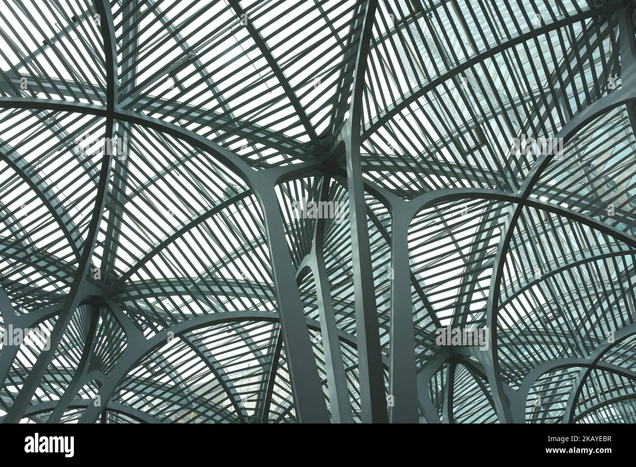 Brookfield Place; BCE Place, Metal roof, Toronto, Ontario, Canada Stock Photo