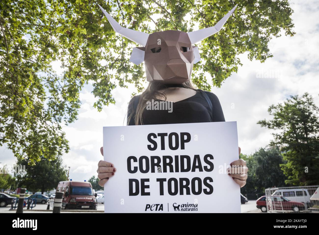 Activist against animal cruelty in bull fightings wears a paperboard ...