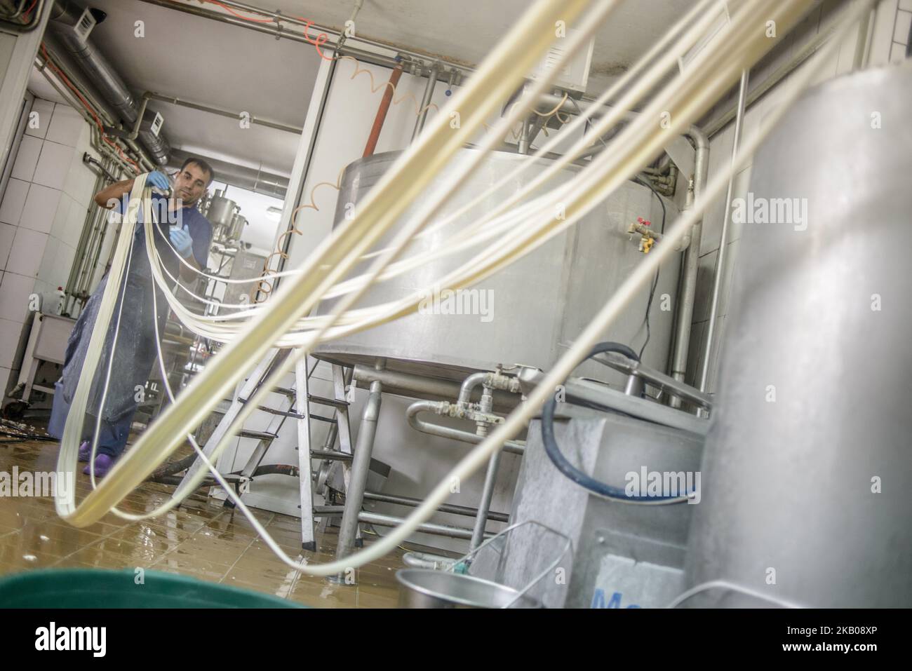 Armenian string cheese hi-res stock photography and images - Alamy