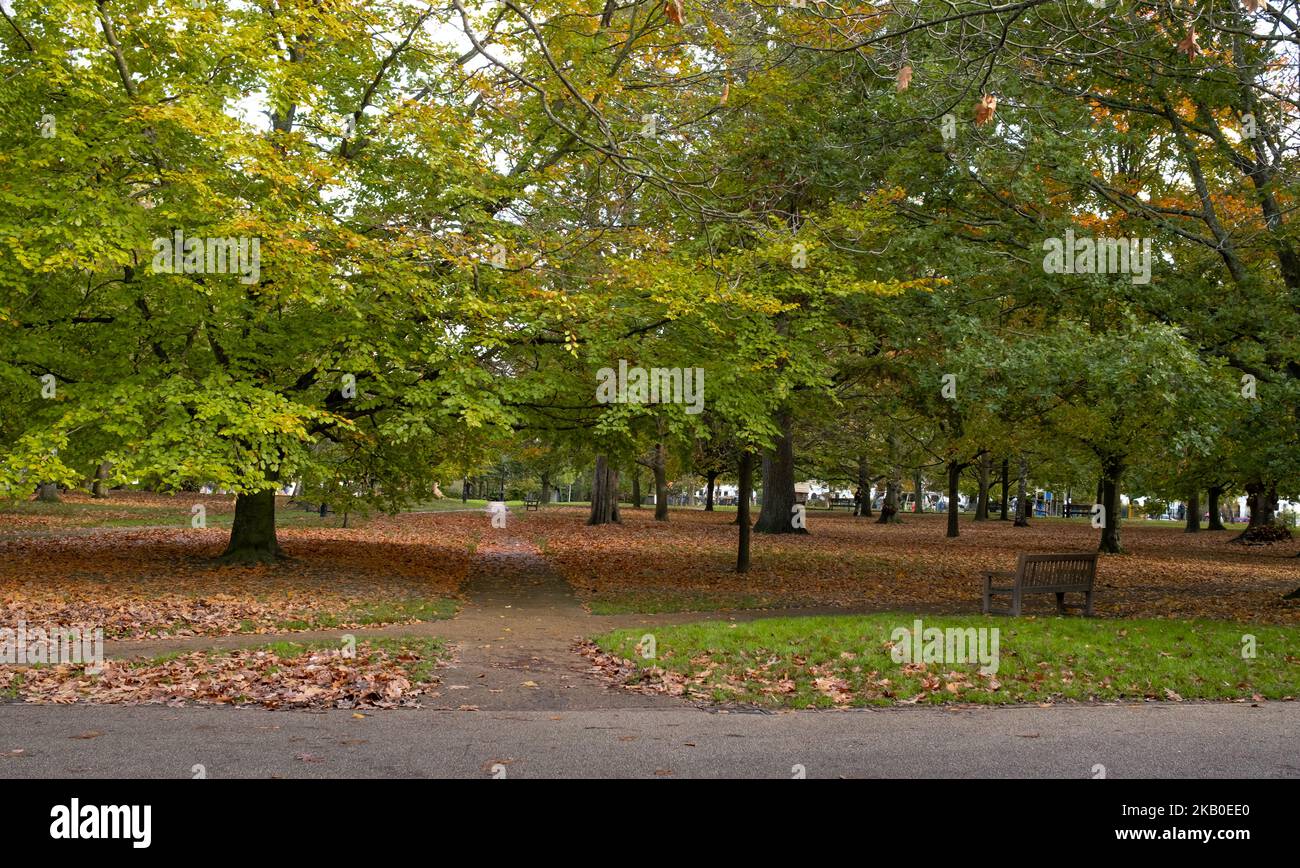 Autumn colours in the Grove, one of the oldest public parks in the town ...