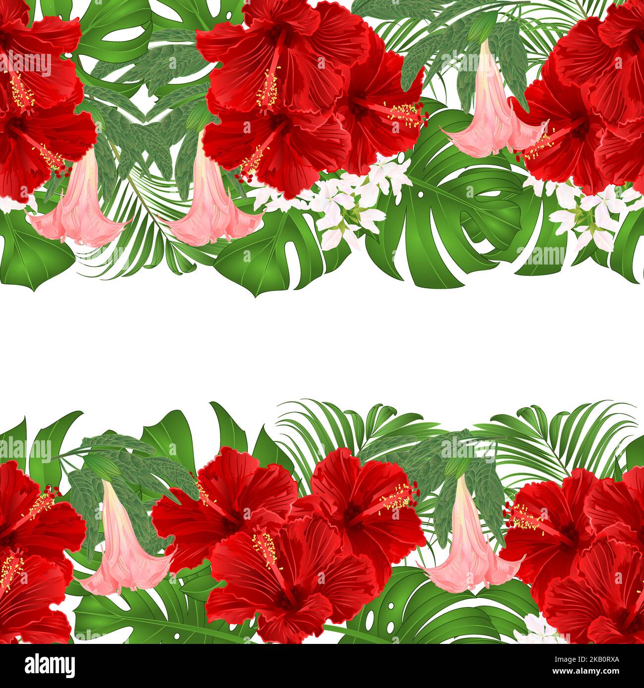 Floral border seamless background horizontal bouquet with tropical ...