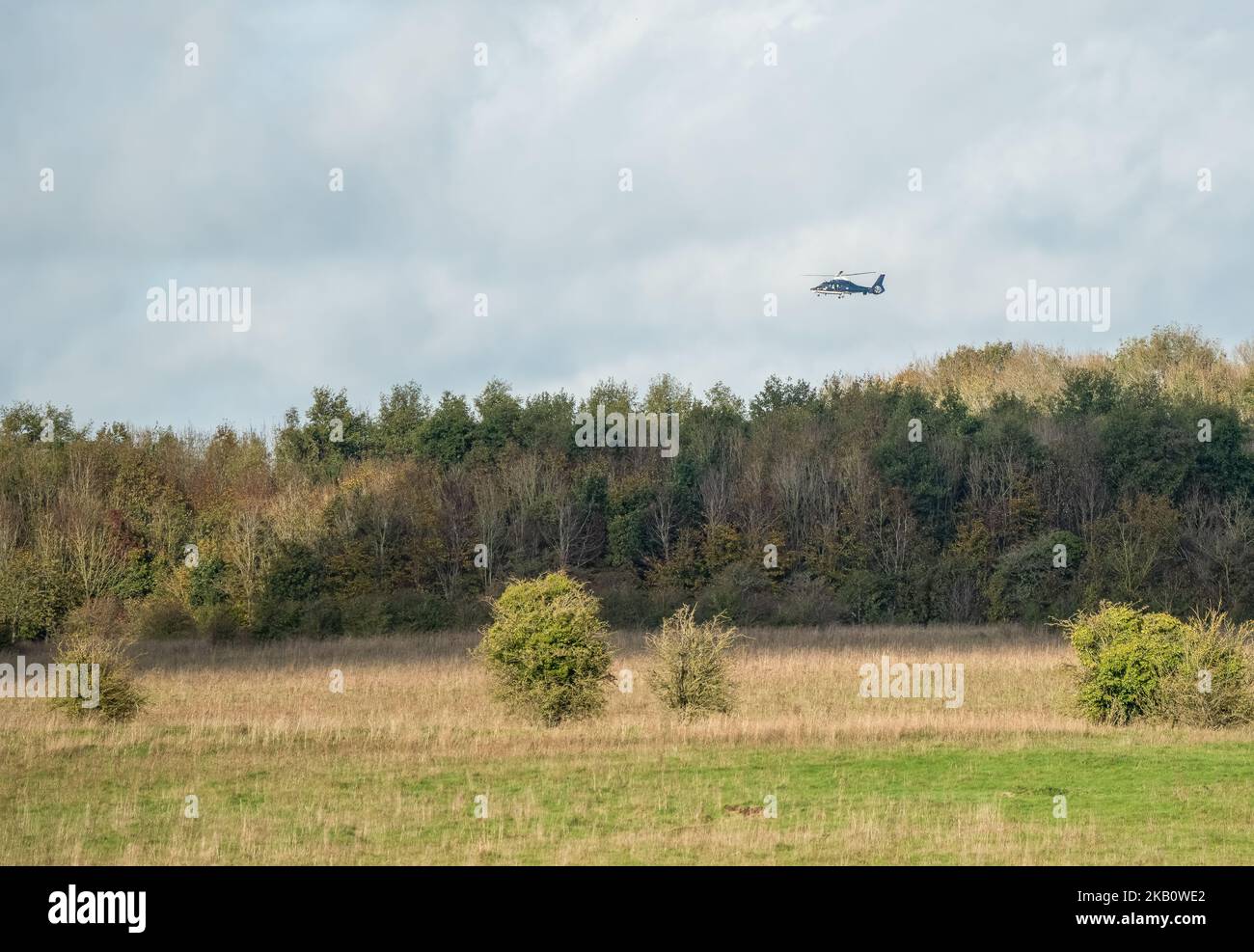 A British SAS Special Air Service Dauphin helicopter (658 squadron, Credenhill) flying low over woodland on a military training exercise, Wiltshire UK Stock Photo