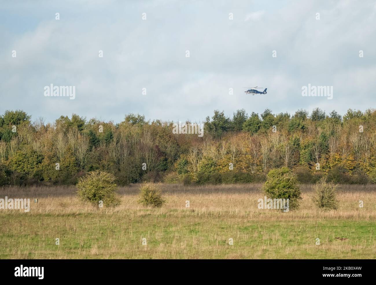 A British SAS Special Air Service Dauphin helicopter (658 squadron, Credenhill) flying low over woodland on a military training exercise, Wiltshire UK Stock Photo