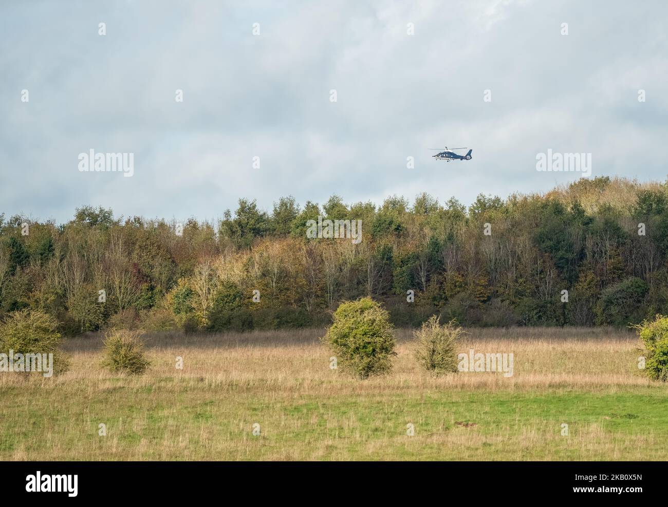 A British SAS Special Air Service Dauphin helicopter (658 squadron, Credenhill) flying low over woodland on a military training exercise, Wiltshire UK Stock Photo