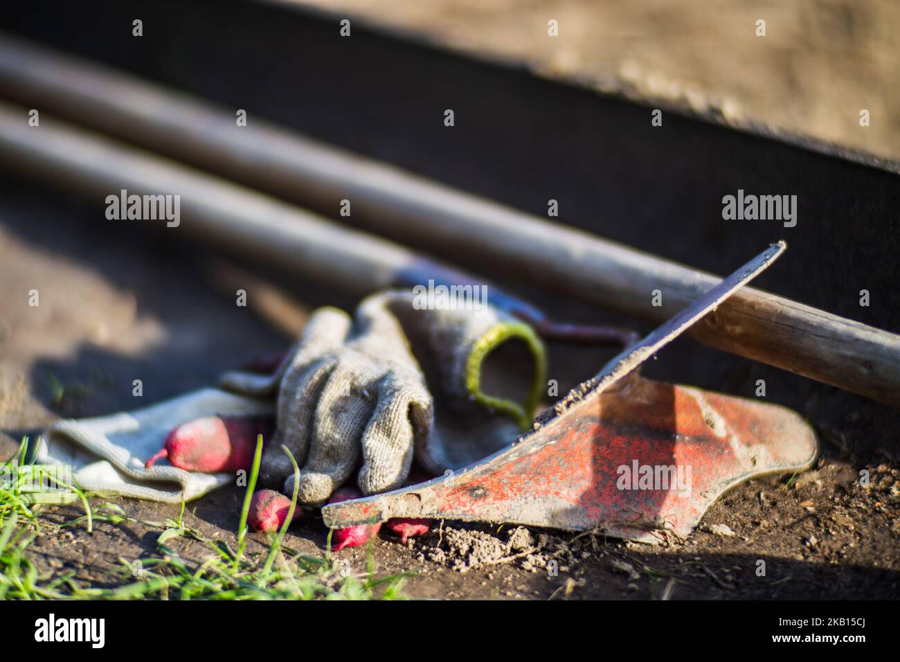 Farmer's garden tool. Gardening concept. Agricultural work on the plantation Stock Photo