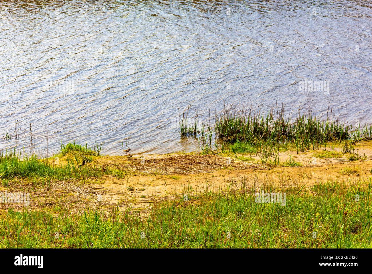 Beautiful river stream pond and lake in nature forest panorama at Imsum