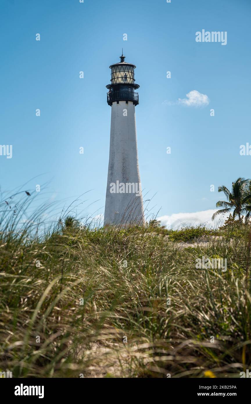Cape Florida Lighthouse, Palm tree, Day - Key Biscayne Stock Photo