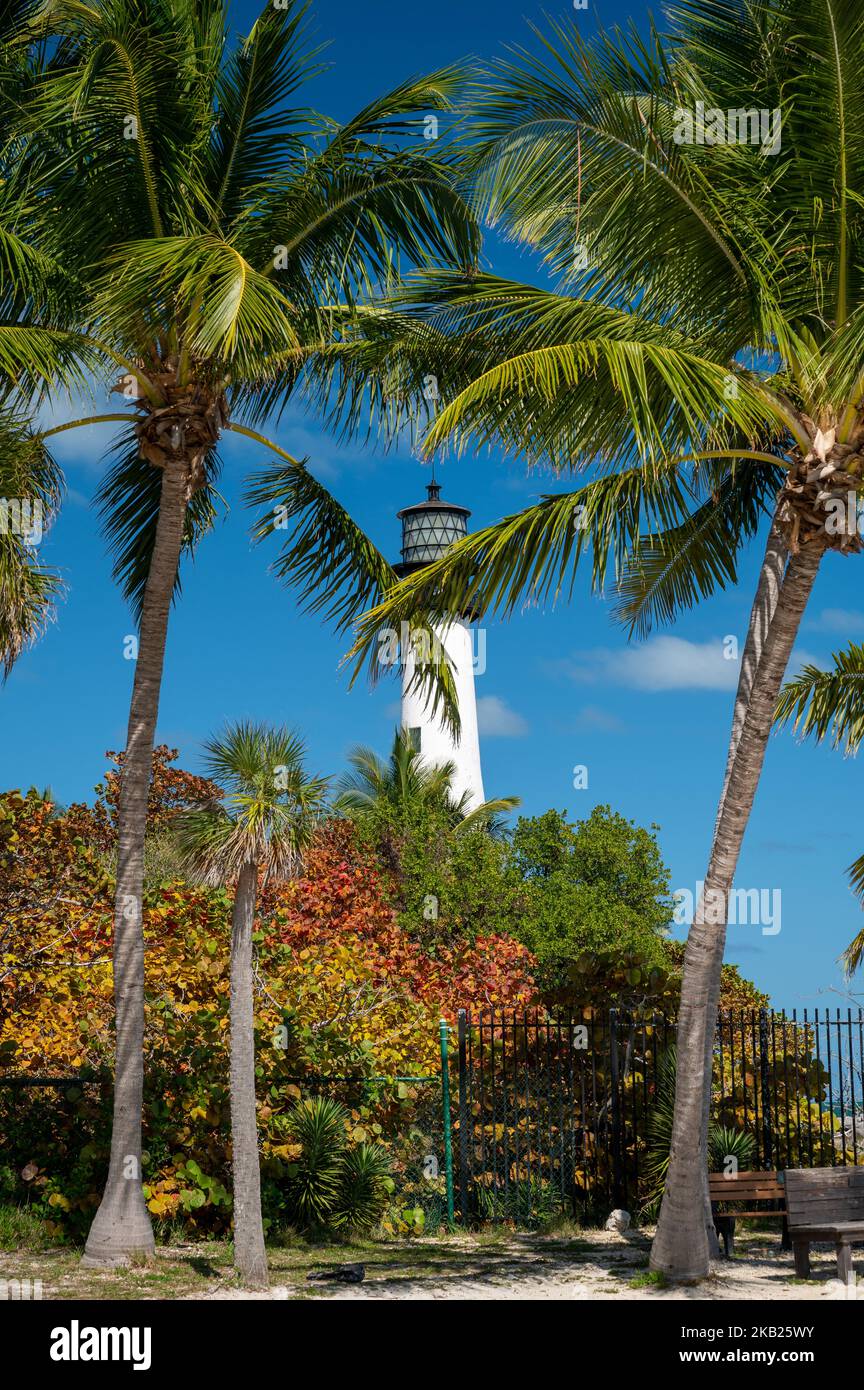 Cape Florida Lighthouse, Palm trees, day time - Key Biscayne Stock Photo