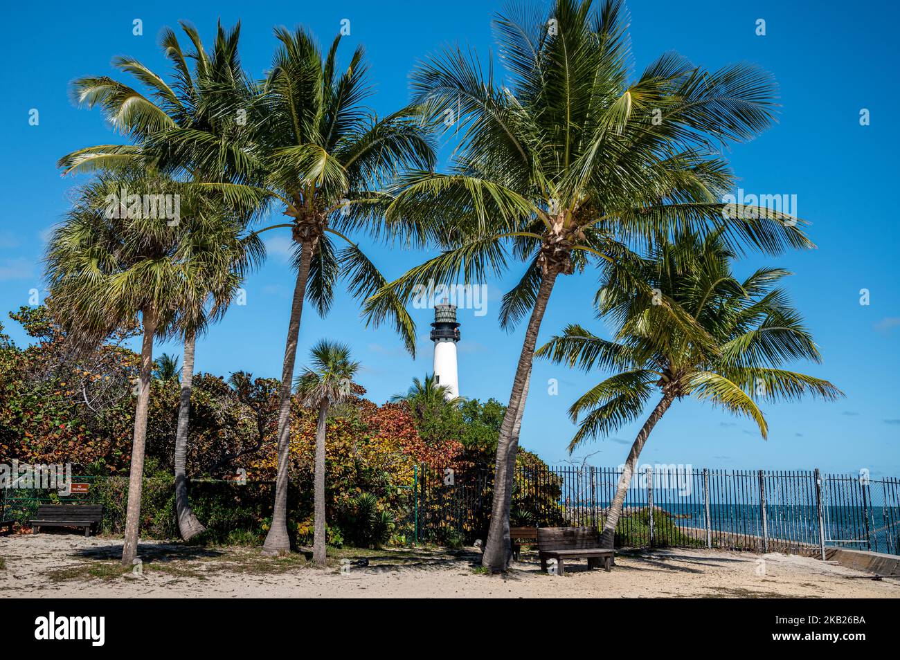 Cape Florida Lighthouse, Palm trees, Sunny day - Key Biscayne Stock Photo