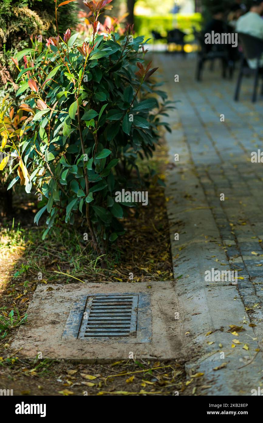 iron grating for rain water Stock Photo Alamy