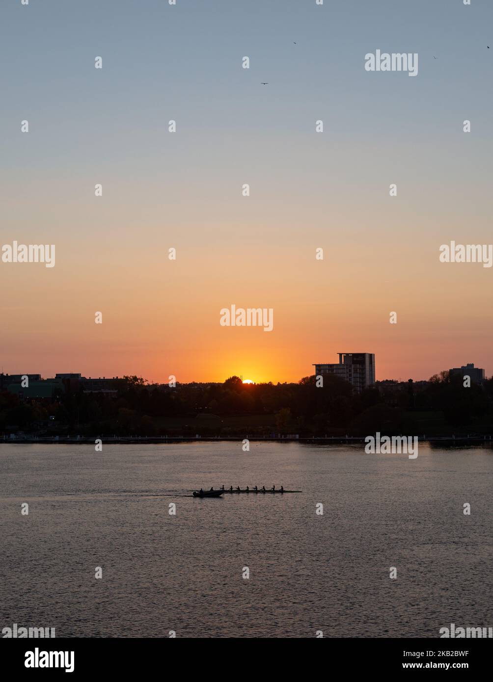 Colorful Sunset Ottawa River rowing team training silhouette Stock