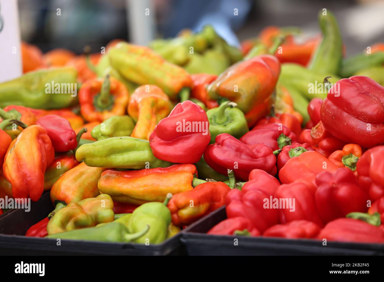 Peppers on display at a the Union Square Farmers Market in New York ...