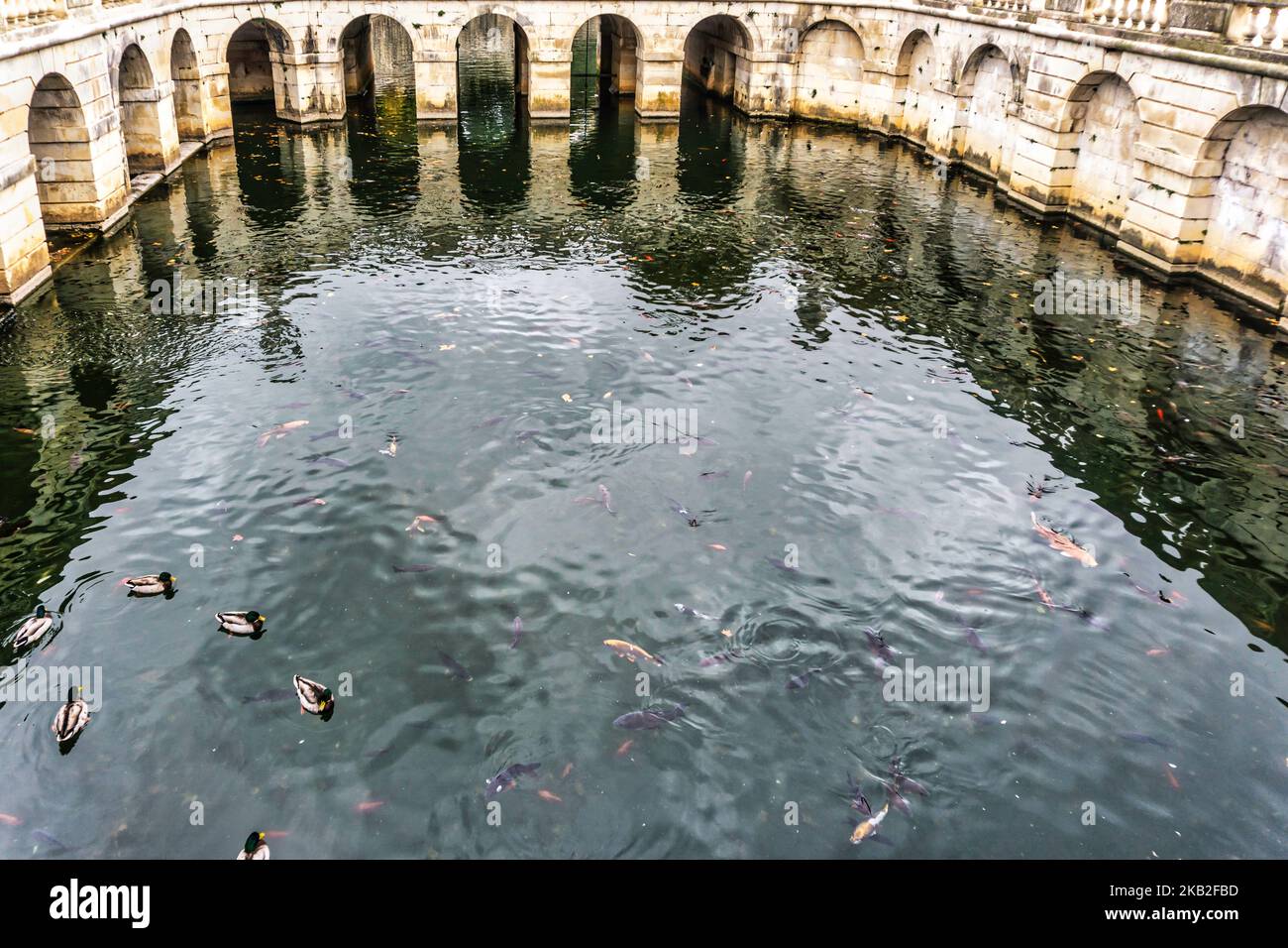 The fish pond in the Jardin de la Fountaine in Nímes, France. Stock Photo