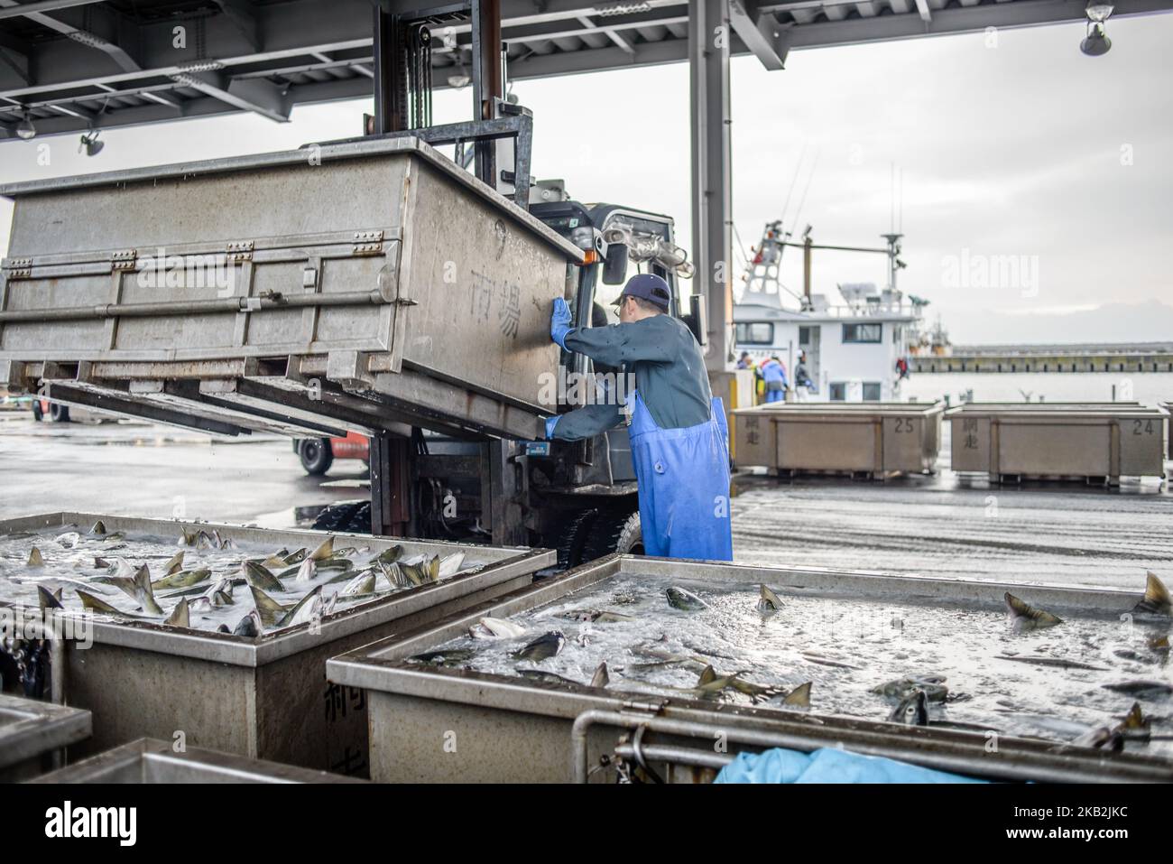 The early morning fish landing and auction at Japan Fisheries