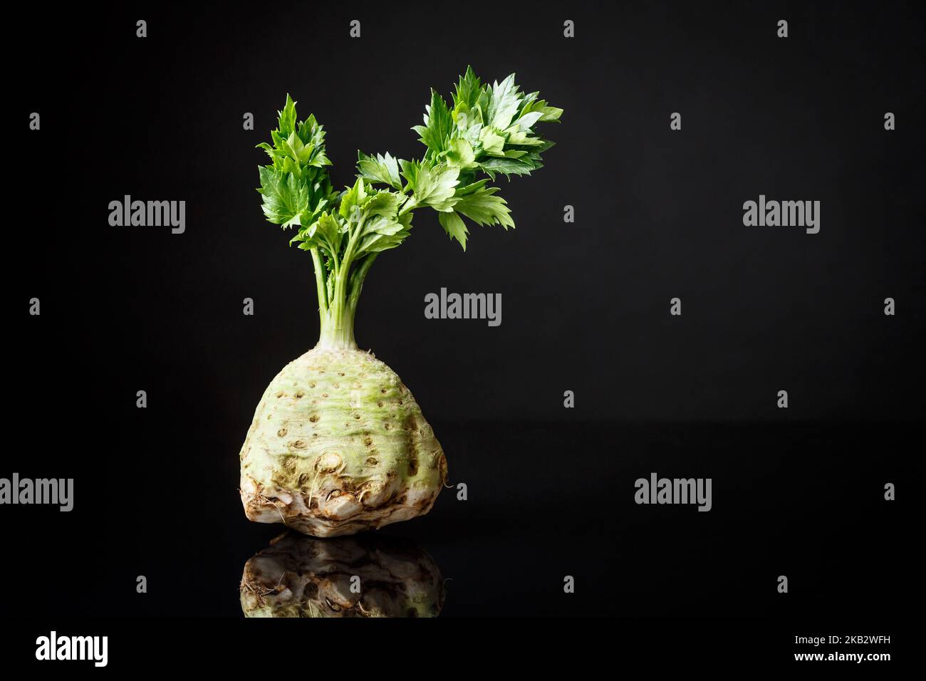 Fresh celery root shot with greens on a black background. Nutrition and