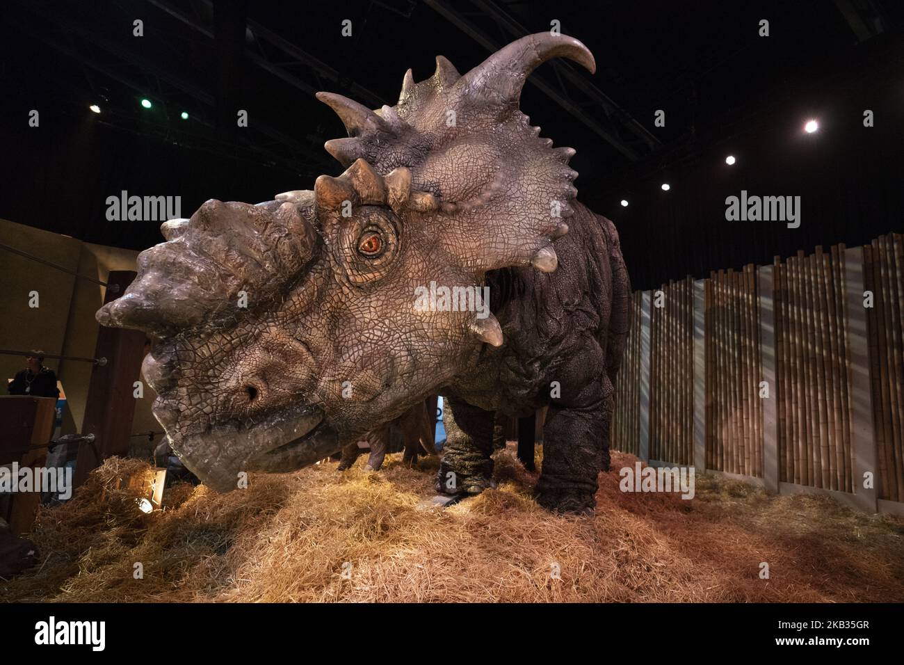 View of part of the exhibition 'Jurassic World: Fallen Kingdom' in Madrid, Spain, 15 November 2018. The exhibition is a reproduction of fictional Cloud Island of Jurassic World films with dinosaurs of more than 7m high, an immersive experience that has already visited cities such as Melbourne or Paris. The exhibition will be open to public from 17 to 30 November 2018 (Photo by Oscar Gonzalez/NurPhoto) Stock Photo