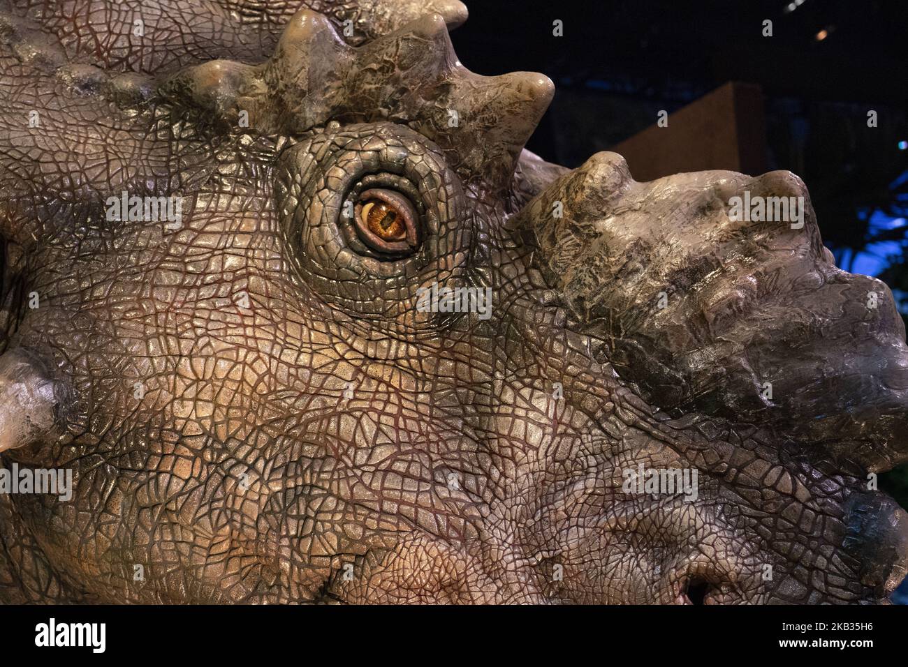 View of part of the exhibition 'Jurassic World: Fallen Kingdom' in Madrid, Spain, 15 November 2018. The exhibition is a reproduction of fictional Cloud Island of Jurassic World films with dinosaurs of more than 7m high, an immersive experience that has already visited cities such as Melbourne or Paris. The exhibition will be open to public from 17 to 30 November 2018 (Photo by Oscar Gonzalez/NurPhoto) Stock Photo
