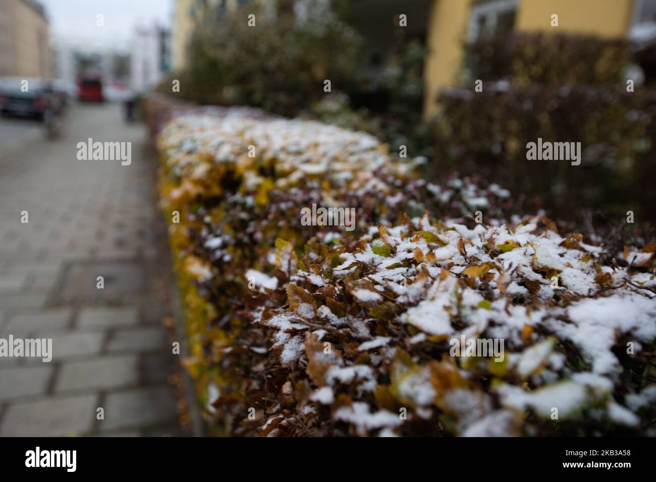 First snow in munich germany hires stock photography and images Alamy