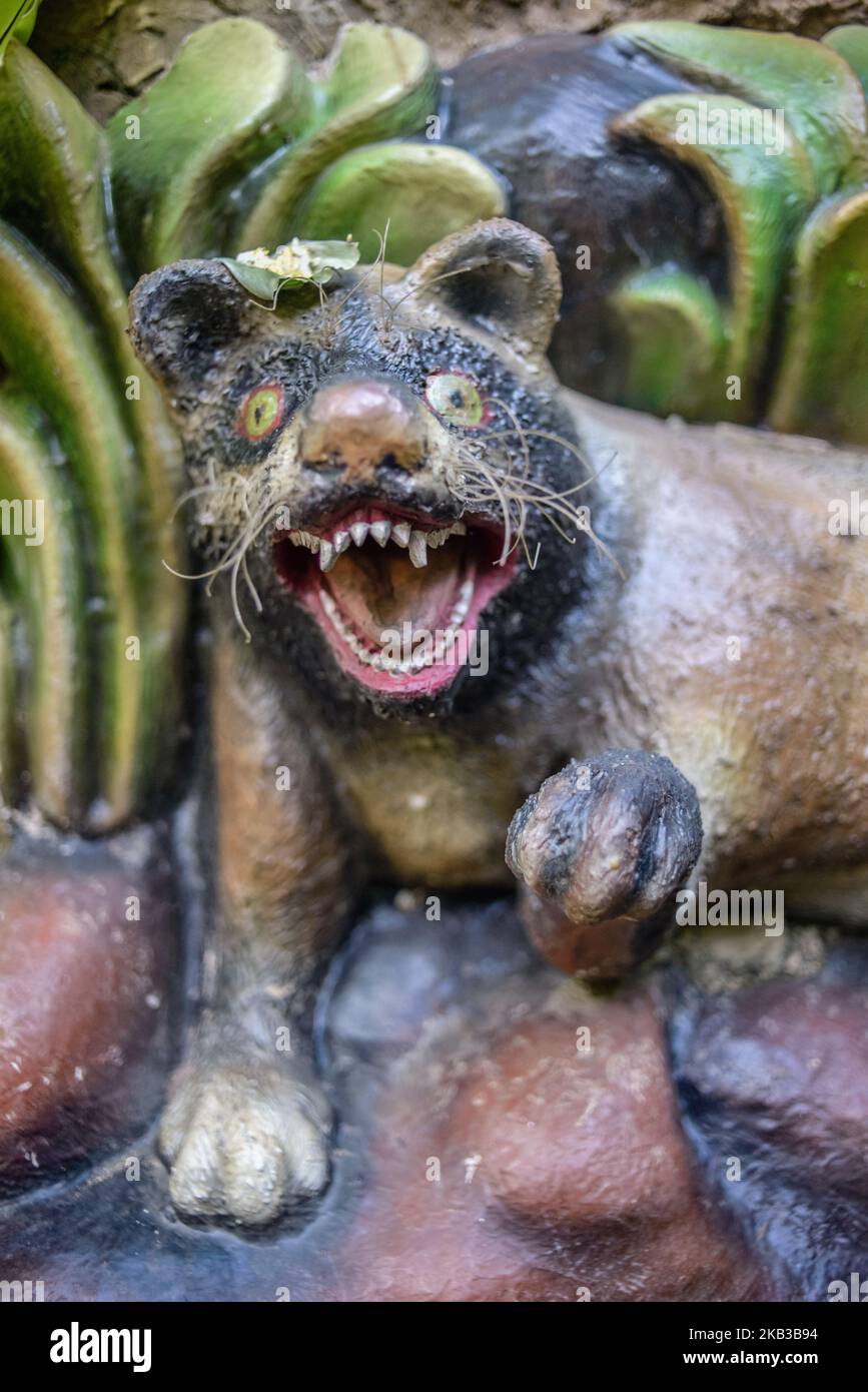 Civet cat bali hi-res stock photography and images - Alamy