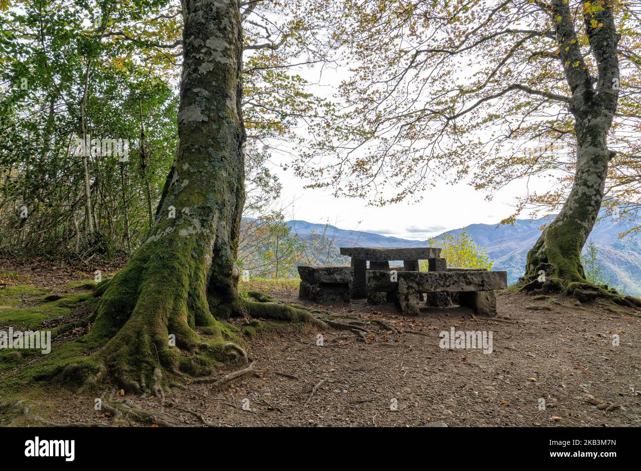 Los porros hi-res stock photography and images - Alamy